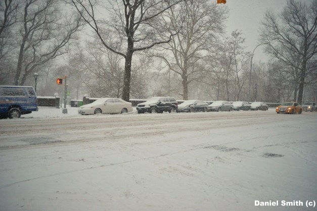 Snow Covered In Central Park