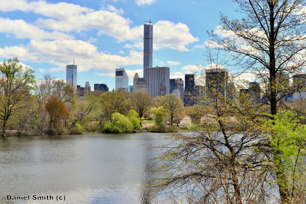 Central Park Scenery