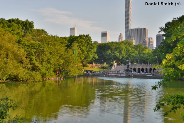 Central Park During The Evening